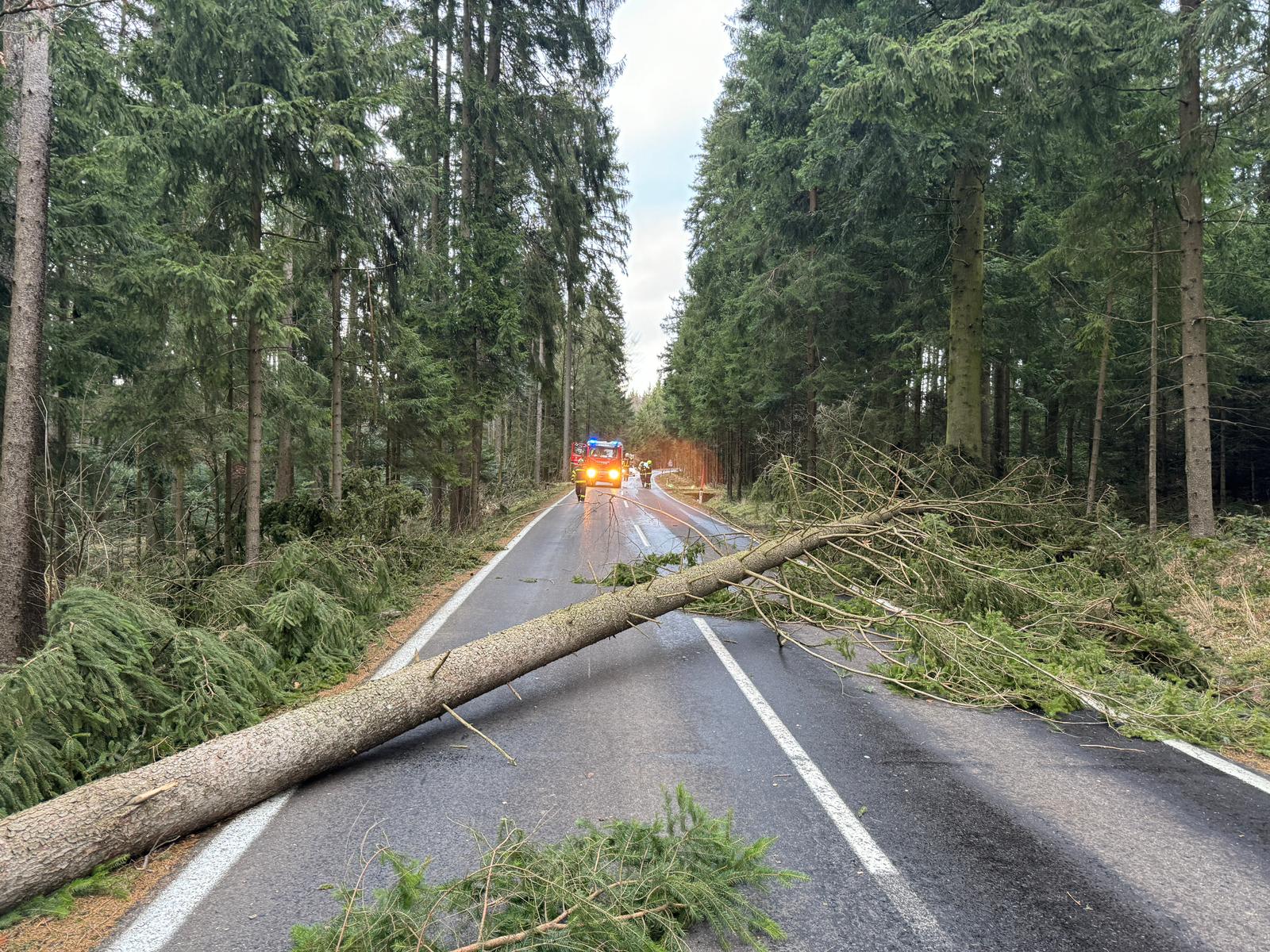 Einsatz Sturmschaden 04.01.2024